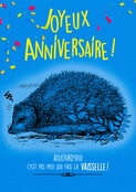 H&eacute;risson comique pour un anniversaire d&eacute;cal&eacute;